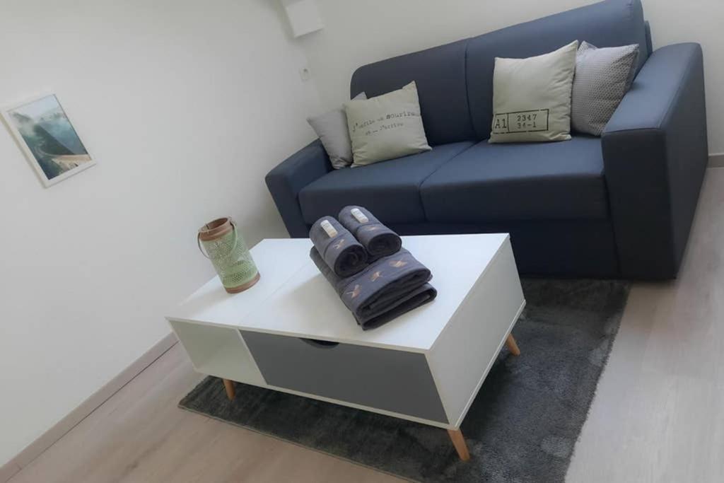 Le Cosy Apartment Sens Exterior foto
