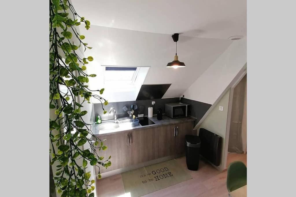 Le Cosy Apartment Sens Exterior foto