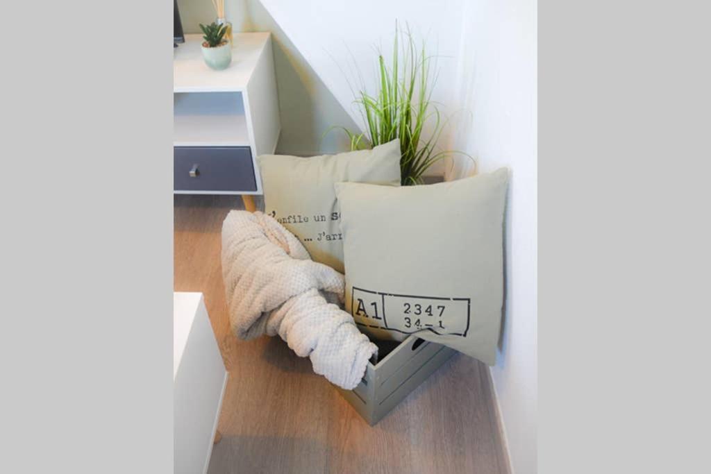 Le Cosy Apartment Sens Exterior foto